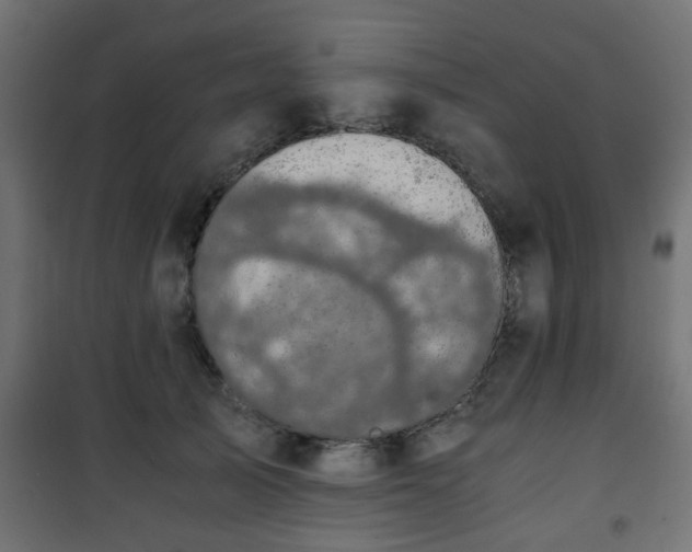 X0000101390705200807141133