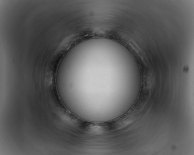 X0000101390706200807141133