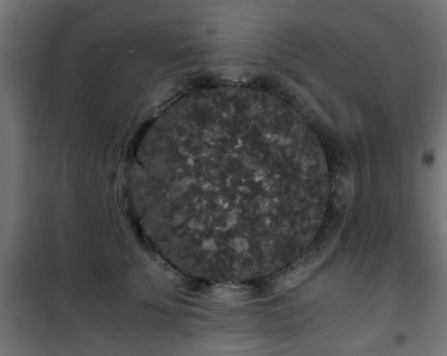 X0000101390707200807141133