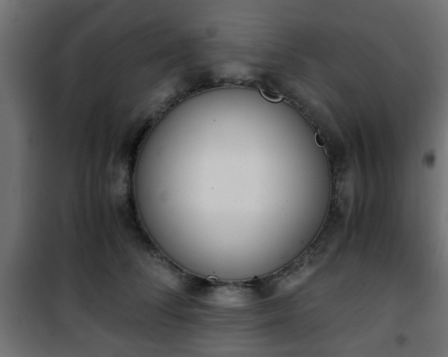 X0000101390708200807141133