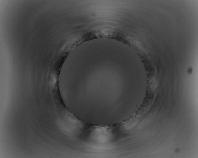 X0000101390709200807141133