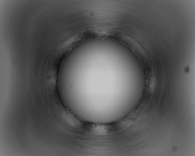 X0000101390710200807141133