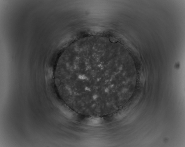 X0000101390711200807141133