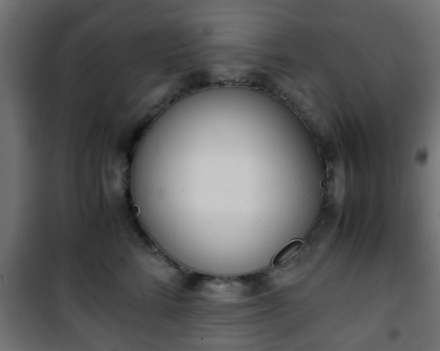 X0000101390712200807141133