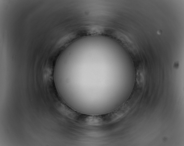 X0000101390714200807141133