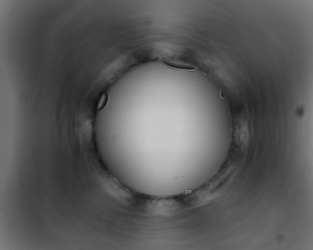 X0000101390716200807141132