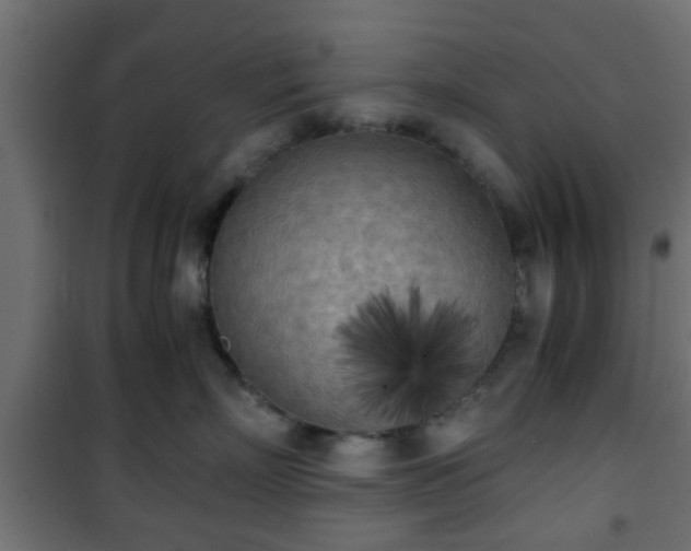 X0000101390718200807141132