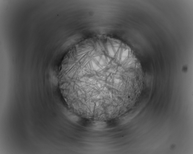 X0000101390719200807141132