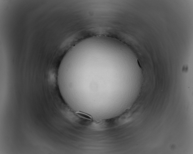 X0000101390720200807141132