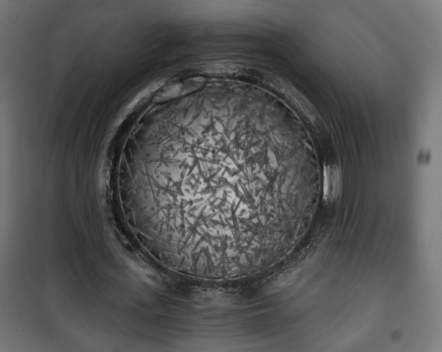 X0000101390723200807141132