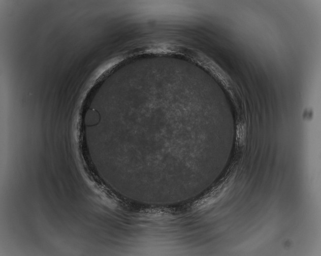 X0000101390724200807141132