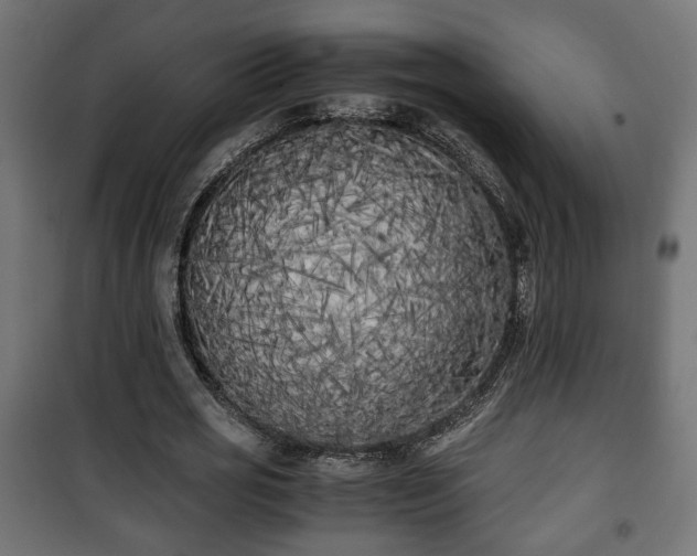 X0000101390725200807141132