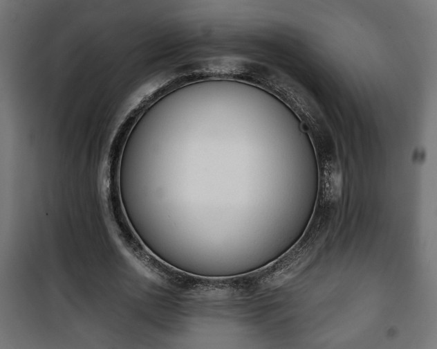 X0000101390726200807141132