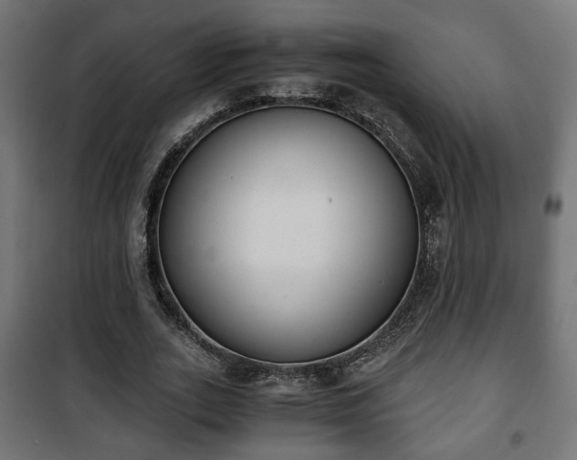 X0000101390727200807141132