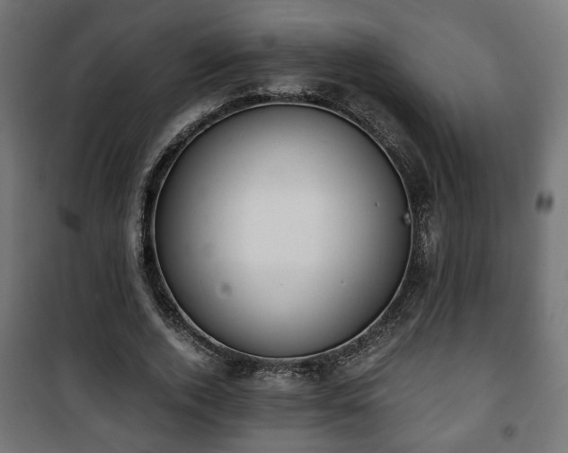 X0000101390728200807141132