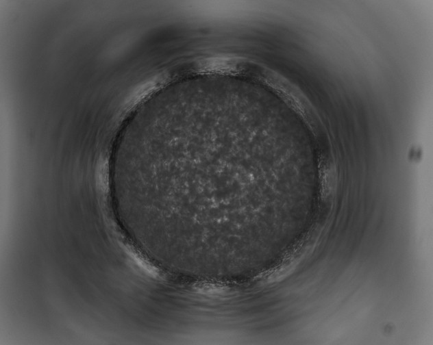 X0000101390729200807141132