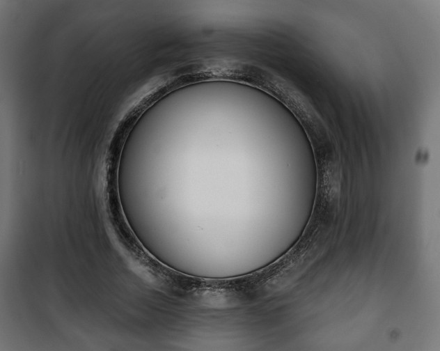 X0000101390730200807141132