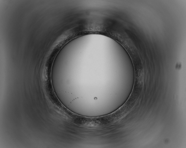 X0000101390731200807141132