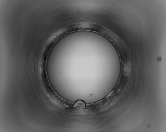 X0000101390732200807141132