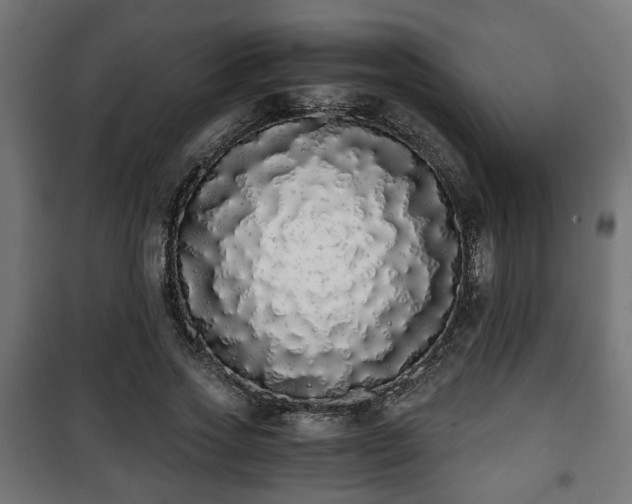 X0000101390733200807141132