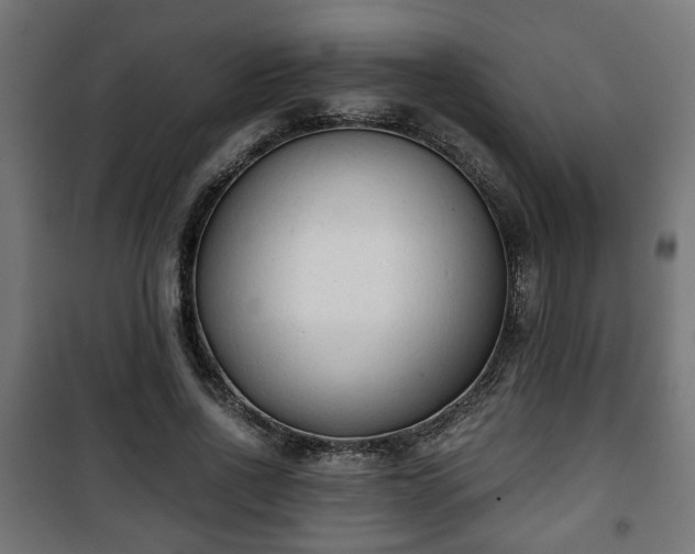 X0000101390734200807141132