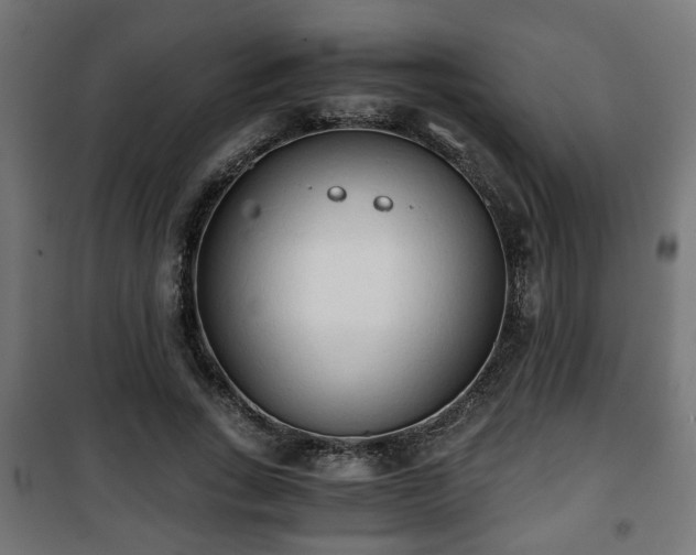 X0000101390735200807141132