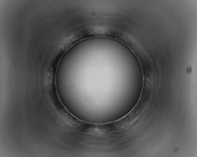 X0000101390739200807141132