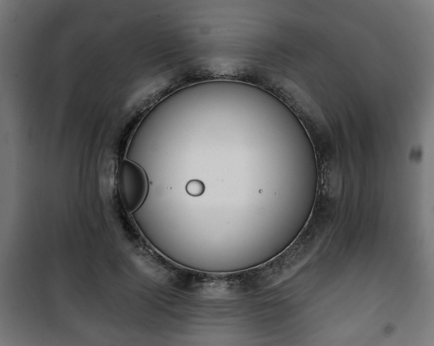 X0000101390740200807141132