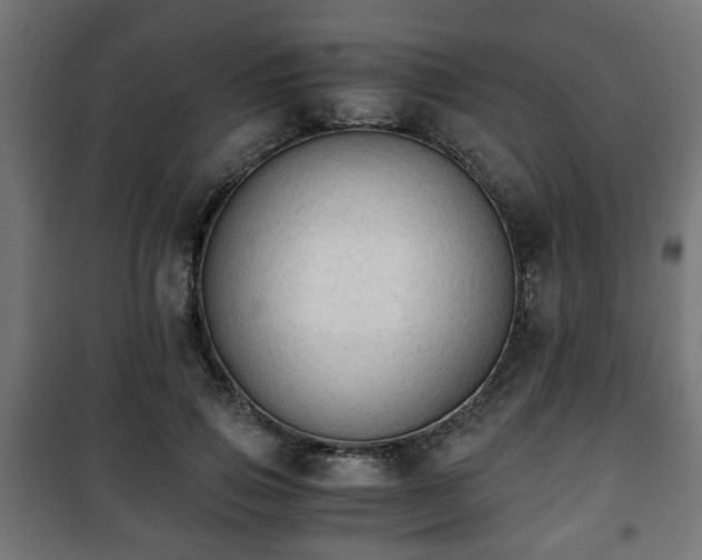 X0000101390741200807141132