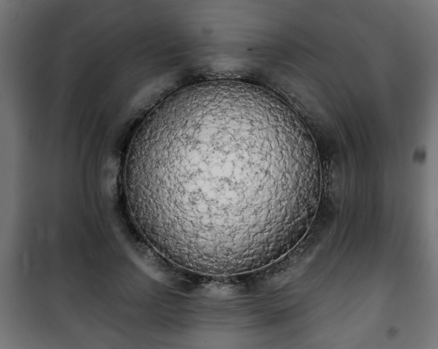 X0000101390742200807141132