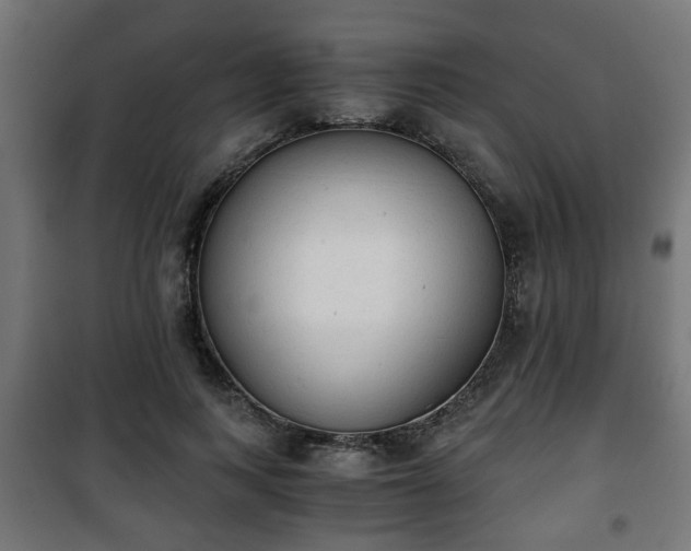 X0000101390743200807141132