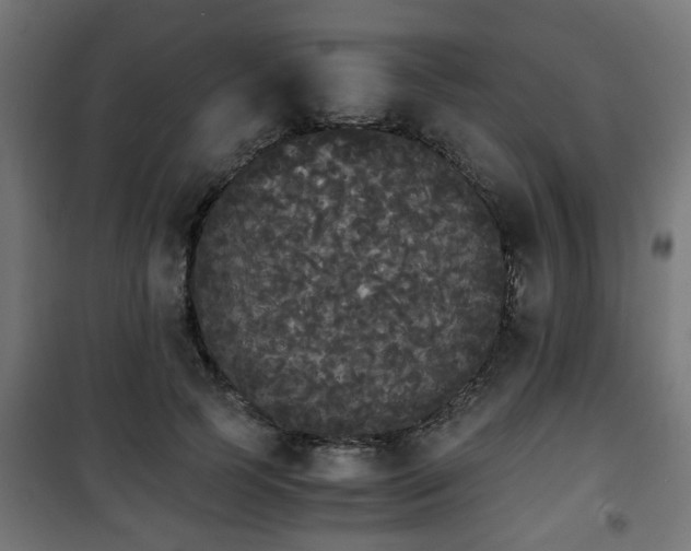 X0000101390745200807141132