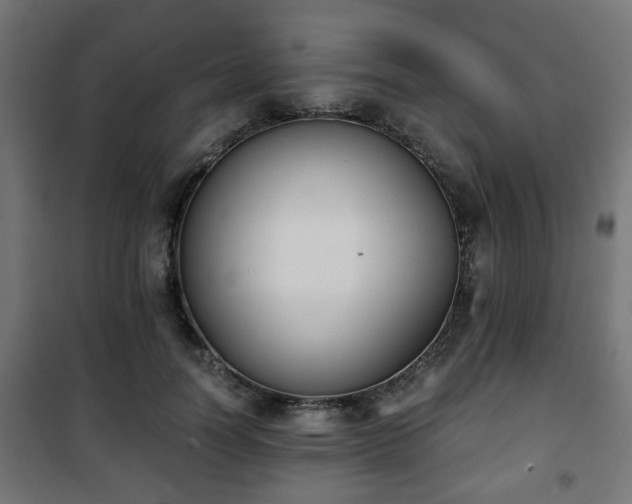 X0000101390746200807141132