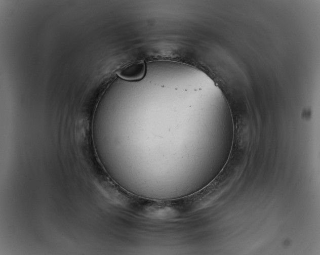 X0000101390747200807141132