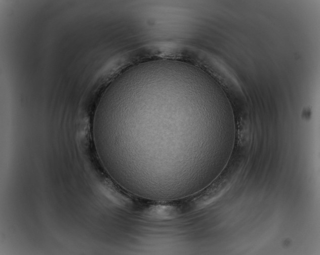 X0000101390748200807141132