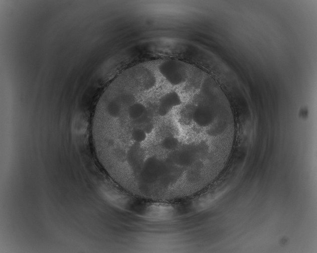 X0000101390749200807141132