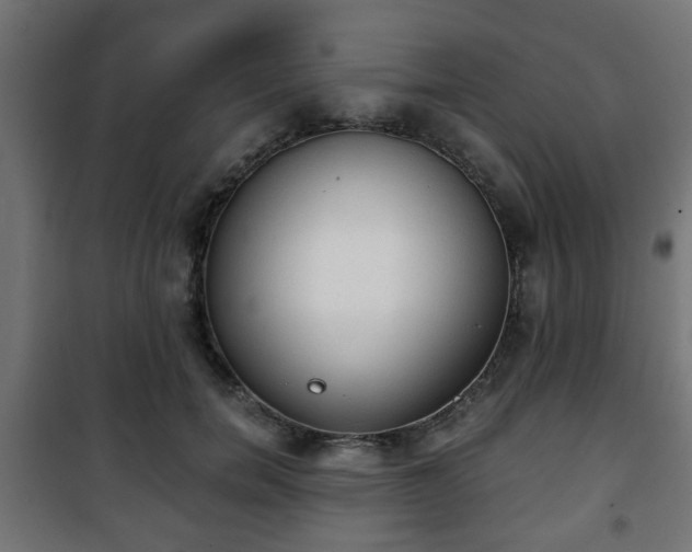 X0000101390750200807141132