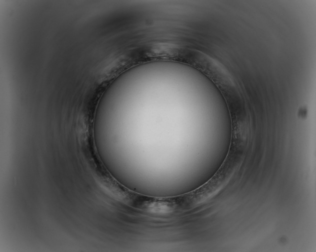 X0000101390751200807141132