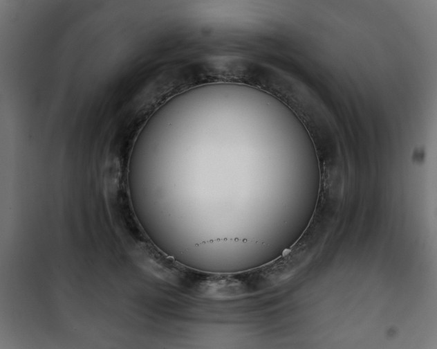 X0000101390752200807141132