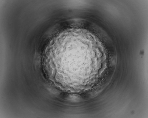 X0000101390753200807141132