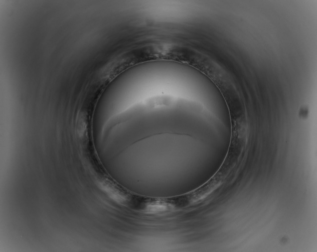 X0000101390754200807141132