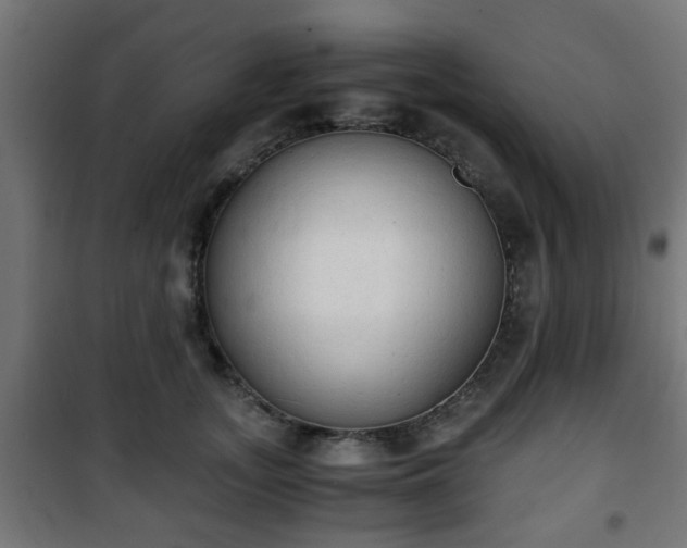 X0000101390755200807141132