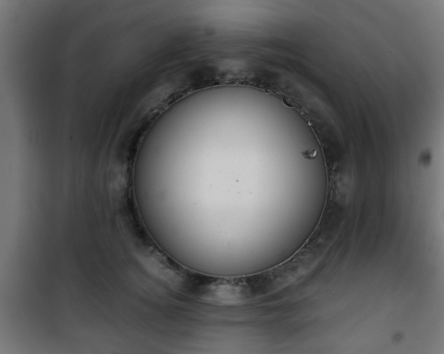 X0000101390756200807141132