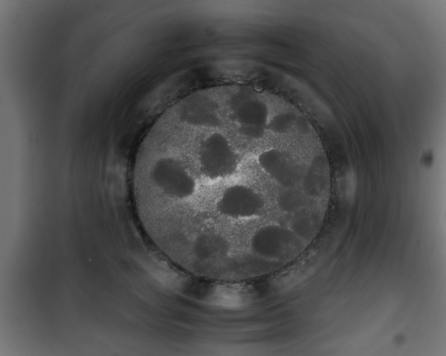 X0000101390757200807141132