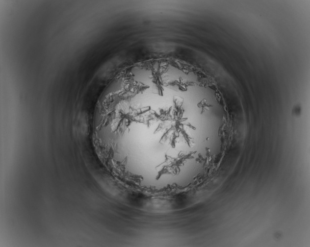 X0000101390758200807141132