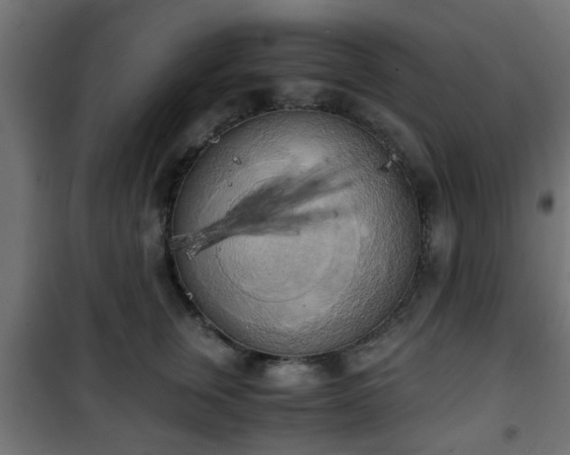 X0000101390759200807141132