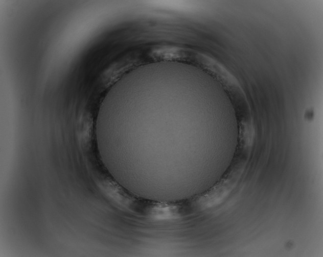 X0000101390760200807141132