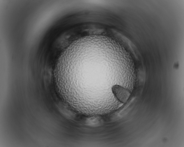 X0000101390761200807141132