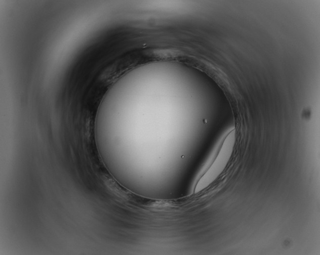 X0000101390762200807141132