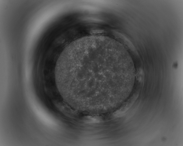 X0000101390763200807141132